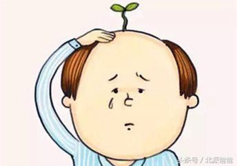 告诉你人有多少根头发?如果不剪的话人的头发