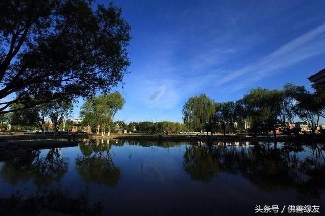 属猪女来年吉凶运气如何?提前了解及时避免