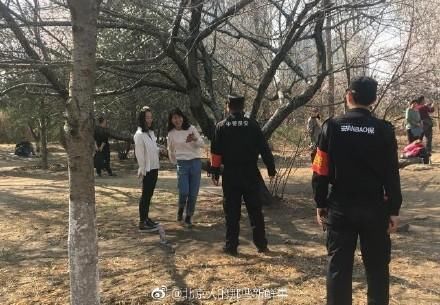 男子摇动樱花树惹武大学子众怒 不文明行为伤