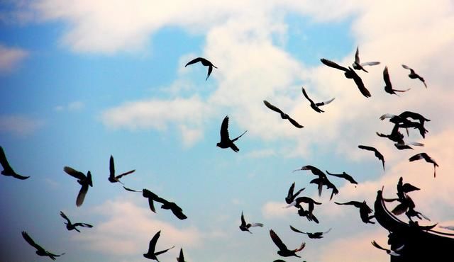 丢掉它们 你的人生会过得更加轻松自在(原来人