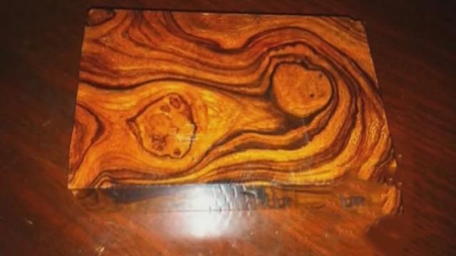 专家介绍美国沙漠铁木特点 专家介绍美国沙漠铁木特点