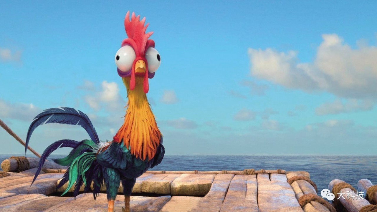 生物奇趣:被误解的小鸡们 生物奇趣:被误解的小鸡们