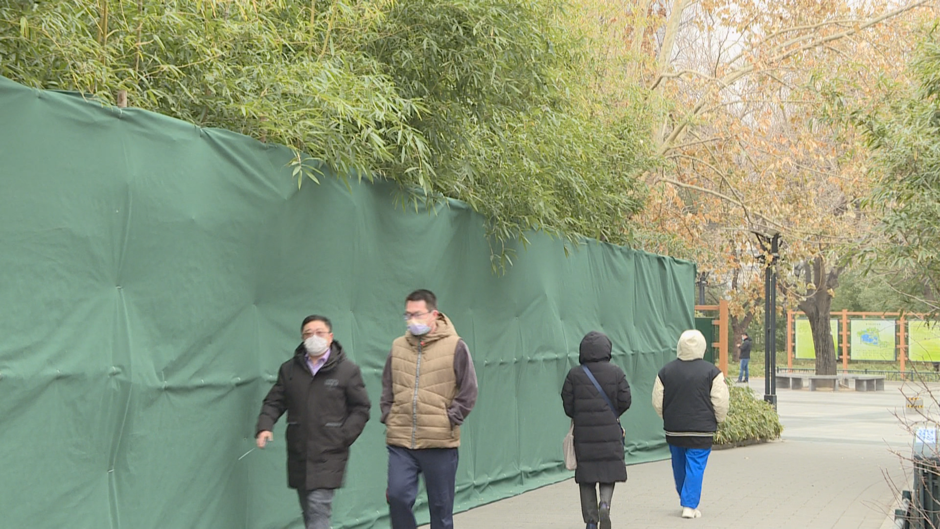 因地制宜！南方植物在北京“穿衣”过冬