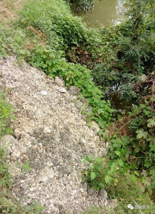 追查邵东人民医院附近不明排污沟 污水直排邵