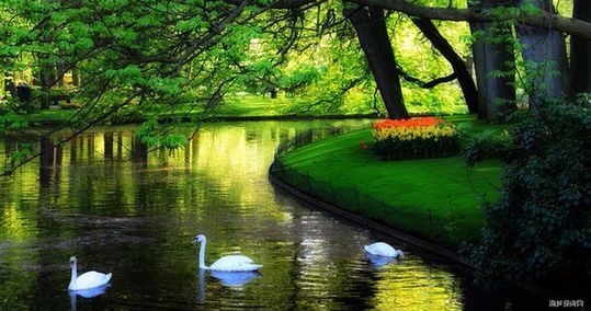 2018北京通州区梨园镇招聘社区工作者12人公