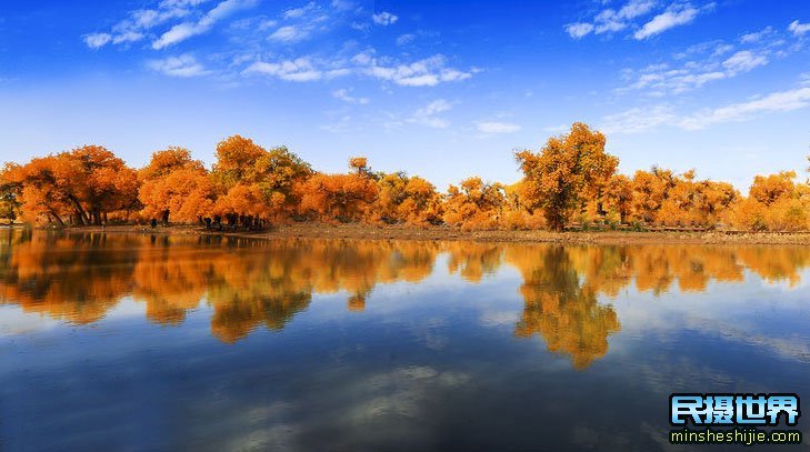额济纳胡杨林摄影团-怪树林-七彩丹霞-波浪谷-雨岔大峡谷摄影 额济纳胡杨林摄影团-怪树林-七彩丹霞-波浪谷-雨岔大峡谷摄影