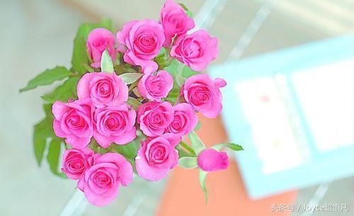 星娱谈恋爱次数最多的星座前六名