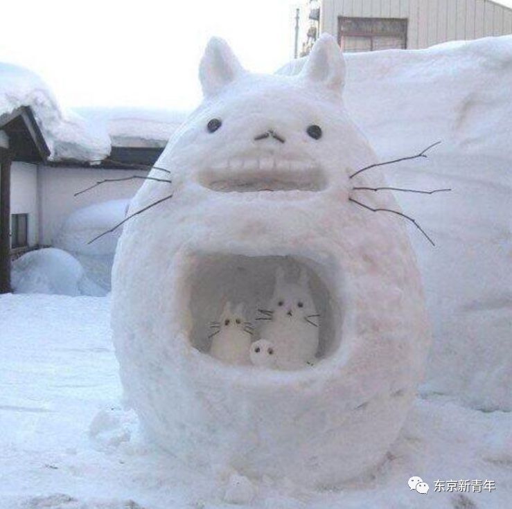 日本气象厅发大雪警报!今天东京下了一场北海