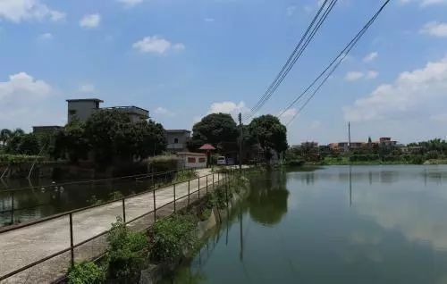 斥资616.8亿投乡村?2018年广东政府为乡村振