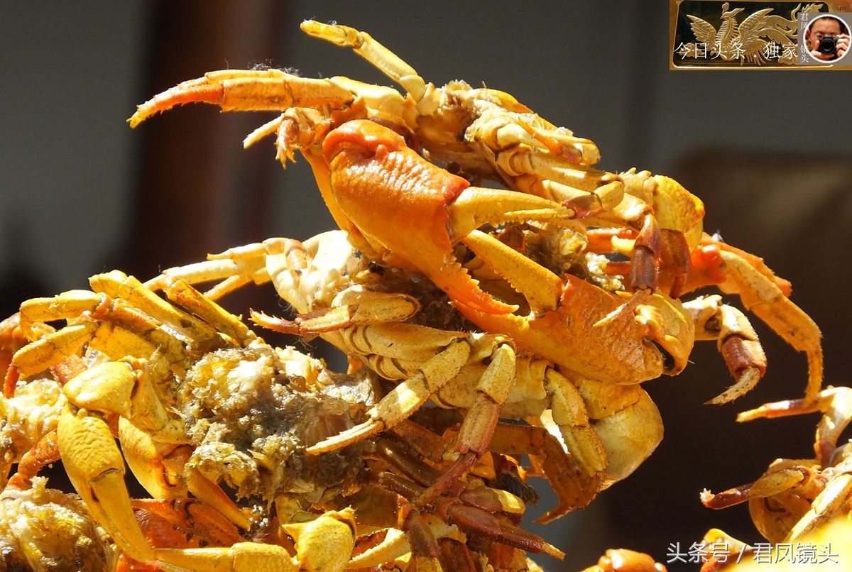 湖北宜昌:旅游景区趣闻,农民卖油炸螃蟹,10元一碗,想吃吗?