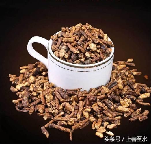 用野生蒲公英根茶泡水喝 具有哪些好处?