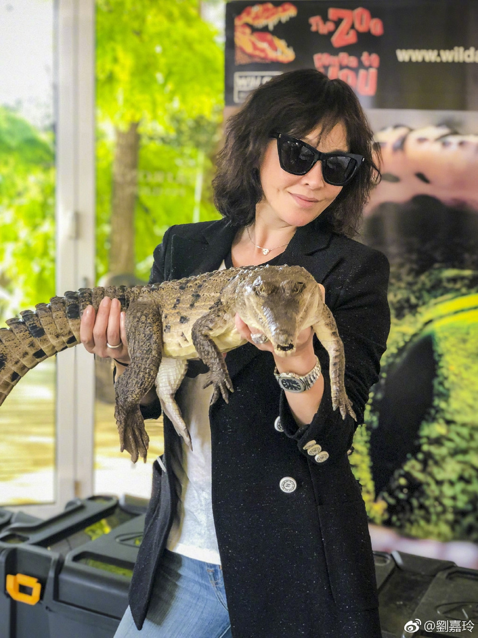 近日，刘嘉玲前往澳洲旅游度假，她在微博晒出一组在当地动物园游玩的照片，配文称：“动物是人类最亲密的朋友”。照片中她手举鳄鱼肩缠蟒蛇，与动物亲密接触毫无惧色。不少网友纷纷感叹道“嘉玲姐姐真是佩服你五体投地哈哈哈”、“？？？胆真大，真是皮皮玲”