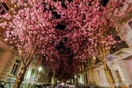 佛缘善语 精选佛学美文句子 静坐平心的绝美语