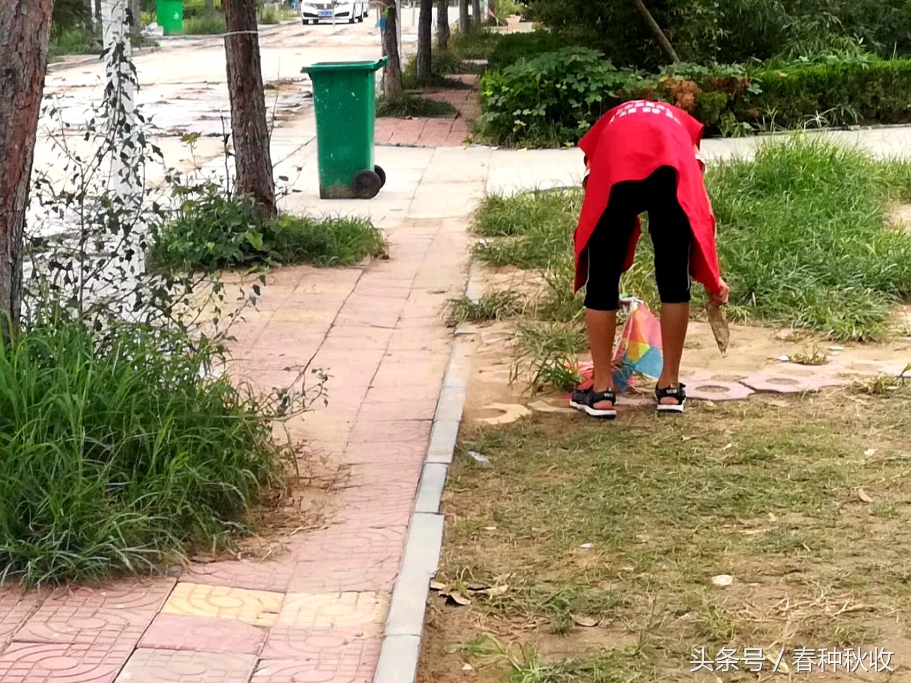 这些孩子走进小区,做起义工,锻炼孩子什么?对