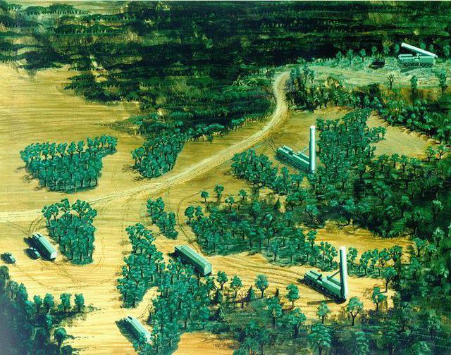 部署状态的SS-20型导弹。SS-20导弹主要部署在东欧，用于打击美国及其盟国在欧洲的目标。该型导弹的服役时间为1976年～1988年。