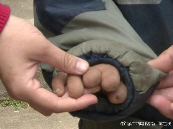 广西夫妻生了九个娃 只生不养个个像乞丐 广西夫妻生了九个娃 只生不养个个像乞丐