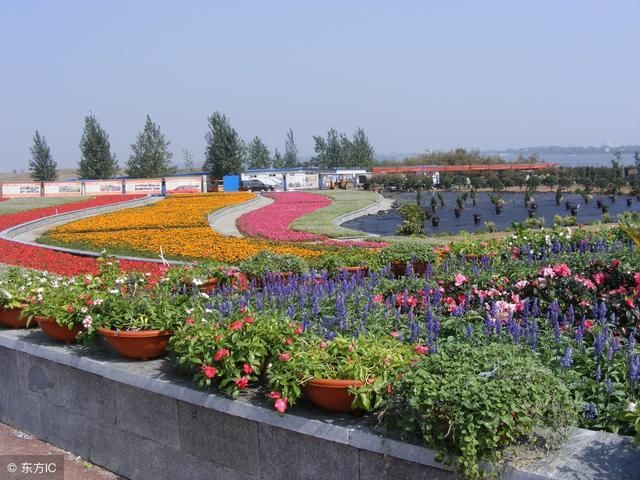 六月临沂最新规划!山东临沂兰山区、罗庄区将