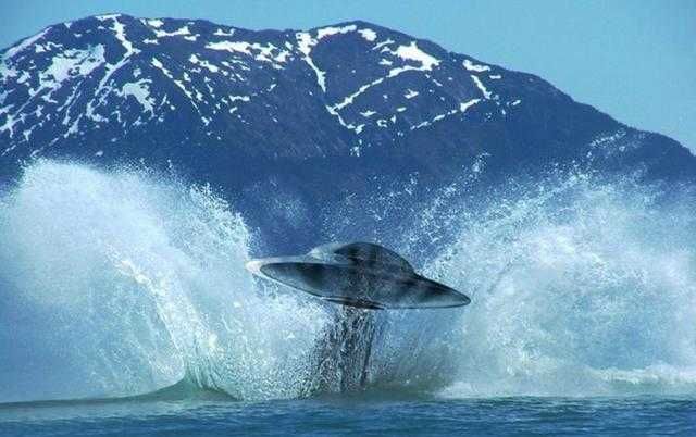 美军飞行遇到ufo称:没见过这么惊人的速度