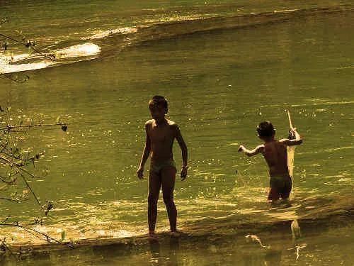 水鬼?水猴?水獭猫?小时候我遇见了!