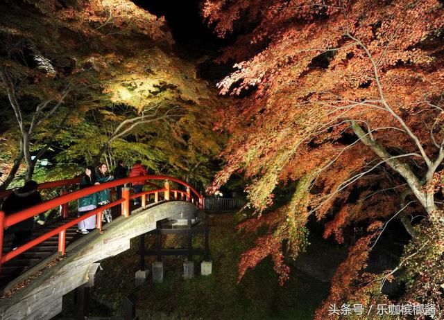 中国游客在日本买特产,2斤清酒5片牛肉,付款时