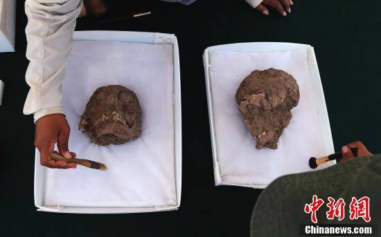 秘鲁发现1300年前墓地 出土千年历史头骨