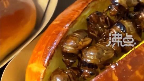 山东一面包店推出“知了猴面包” 店长:图个玩儿 山东一面包店推出“知了猴面包” 店长:图个玩儿