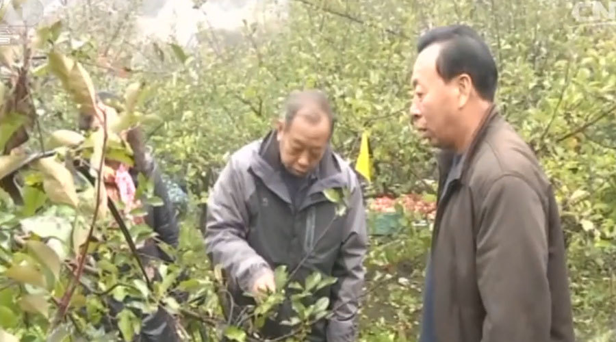 中国梦展播|【闪亮的明灯】李保国:扎根太行山的“农民教授” 中国梦展播|【闪亮的明灯】李保国:扎根太行山的“农民教授”