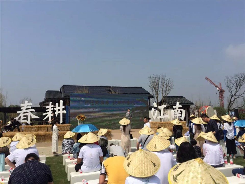 江南田园小镇今天公开,89-243合院独栋别墅首