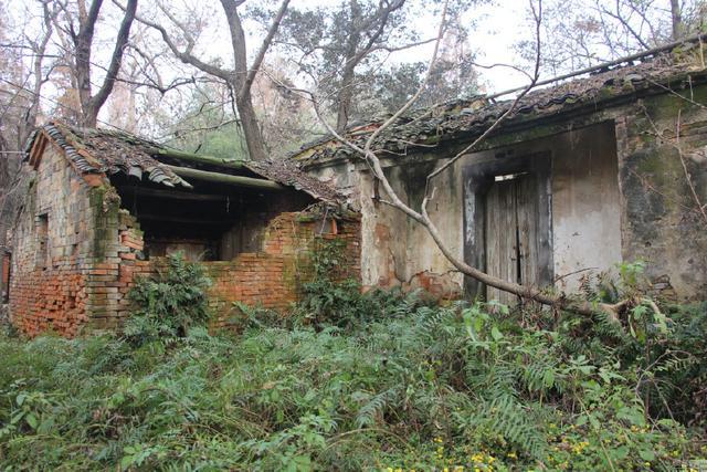 农村空心房整顿!这3类房屋拆除有补贴,农民兄