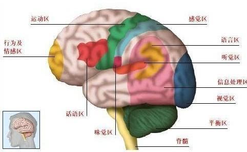 做梦梦见刷牙时大牙掉落，未出血的预兆与心理解析