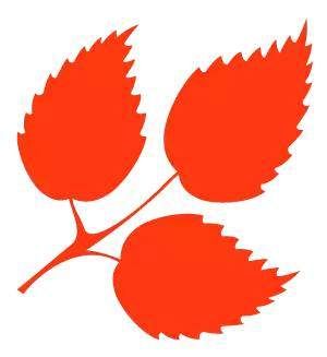 爱心义工入户慰问特困学生;2019考研时间已定