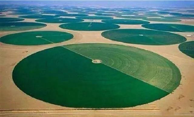 沙特、阿联酋那些国家那么有钱为什么不发展工