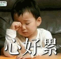 11个姐姐凑钱为弟弟买房、首付掏空全家6个钱