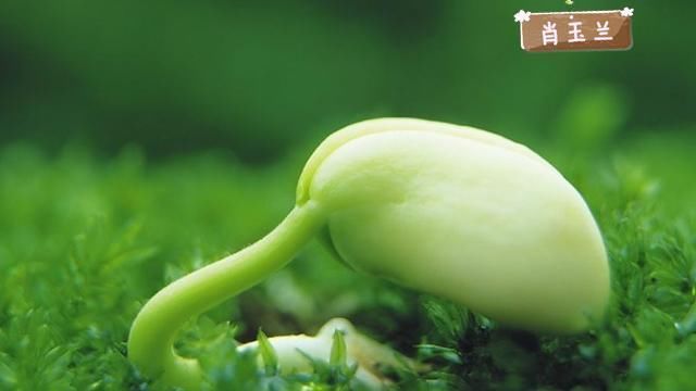 乙肝病毒攻克取得新突破!乙肝有望被彻底治愈