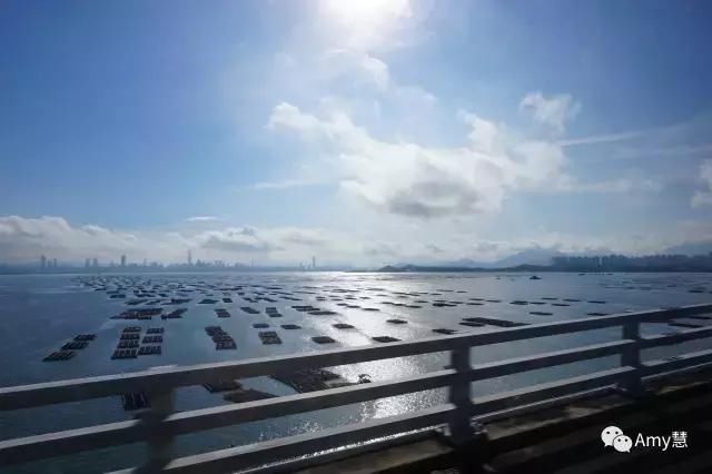 Amy慧带你香港一日游 贴心告诉你做到这些就