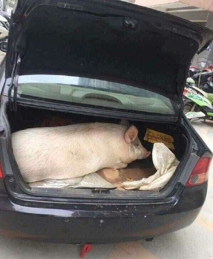 这种爱包含着对儿行千里的牵挂，以及事业有成的希冀，还有顺遂如意的祝福，从上大学以后，随着相处时间的减少，这种情感不减反增。