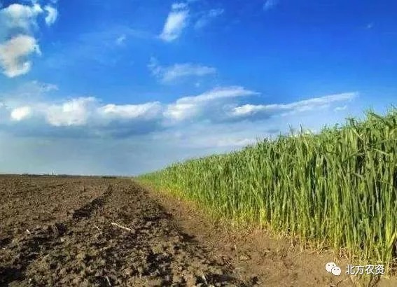 关于轮作休耕试点,农业农村部最新消息!