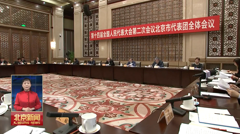 北京市代表团审议政府工作报告 尹力殷勇李秀领刘伟参加审议