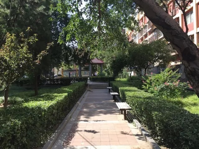 喜迎十九大·西城基层党代表风采|潘瑞凤:做居民娘家人和贴心人 喜迎十九大·西城基层党代表风采|潘瑞凤:做居民娘家人和贴心人