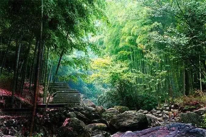 中国国旅浙江公司春季一日游线路精选