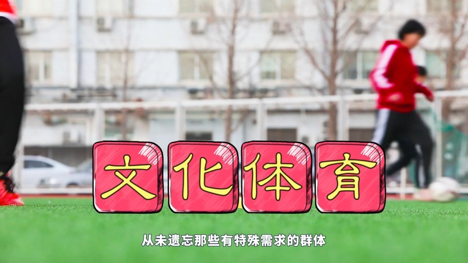 北京市文化体育领域的无障碍设施建设如何