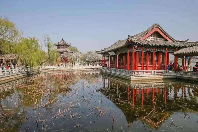 阿萌旅行日记第53篇:济南的春天,错过可就太可