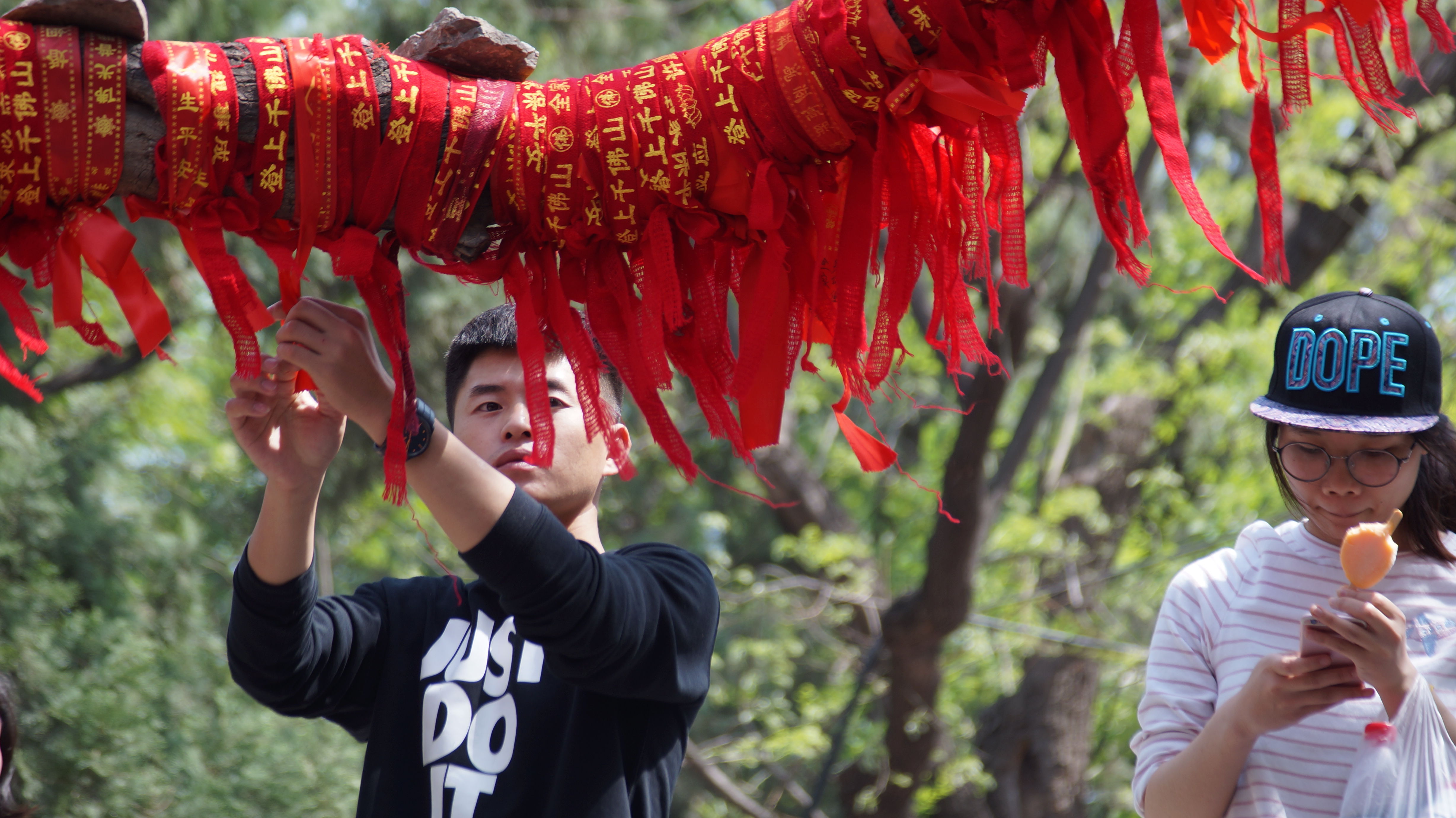 假期景区护栏遭游客骑摸许愿如包浆 古槐系满红绳犹穿衣服
