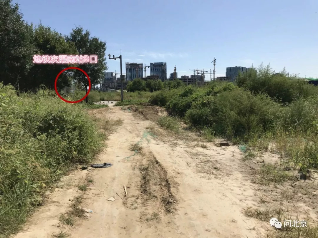 通州次渠南站地铁口道路不通 附近居民穿行草丛去坐地铁 通州次渠南站地铁口道路不通 附近居民穿行草丛去坐地铁