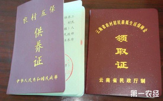 农村五保户一年补助多少钱?2018五保户新政解