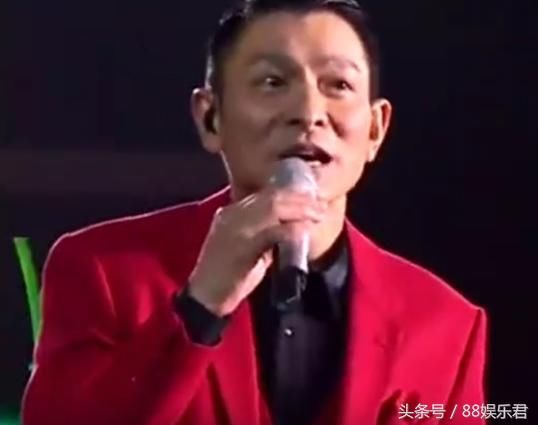 刘德华演唱会_刘德华一年收入(3)