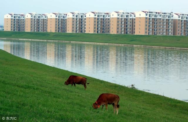 2018年的新农村建设补贴来了,补贴力度相当大