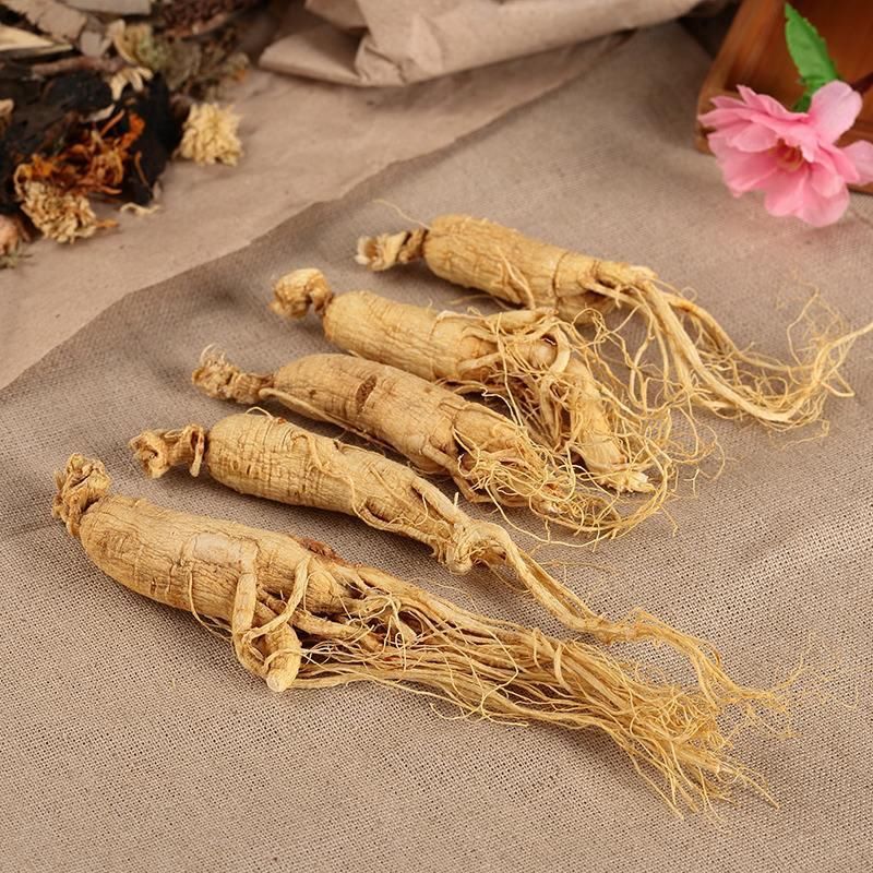 人参,百草之王; 久服,轻身延年