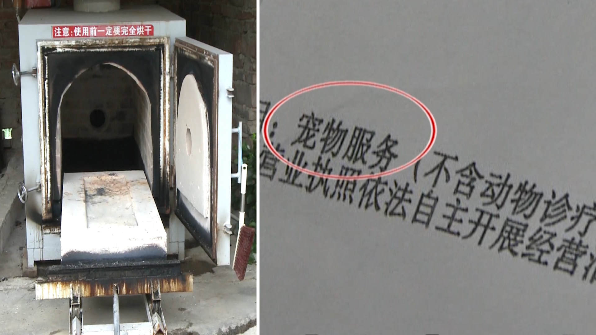 宠物火化是宠物服务吗？“火化”气味难闻 村民难以忍受