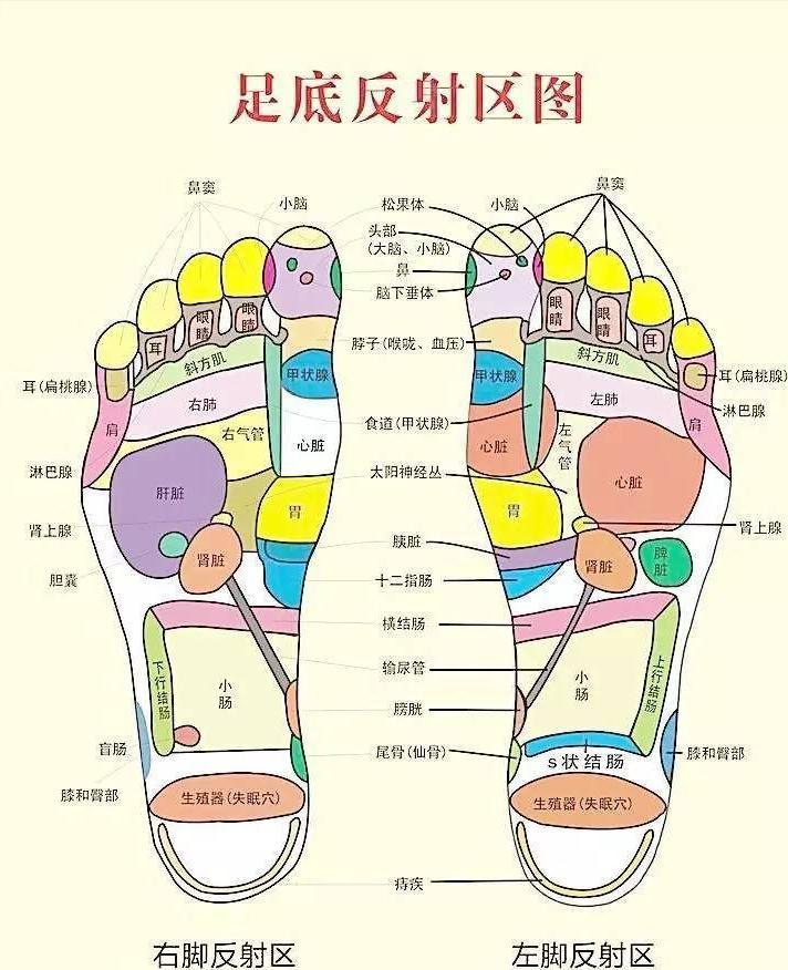 上病取下,百病治足